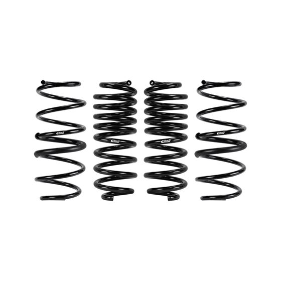 Pro-Kit Performance Springs (Set Of 4 Springs)