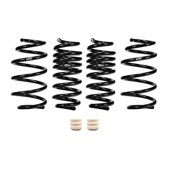 Pro-Kit Performance Springs (Set Of 4 Springs)