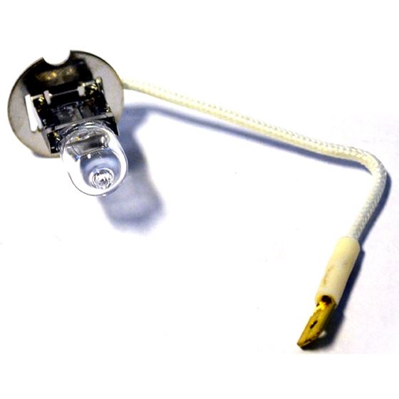 Warn BULB (220055)